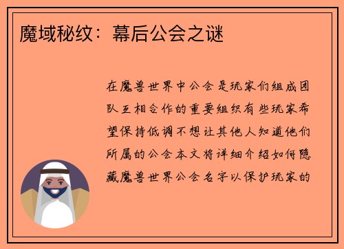 魔域秘纹：幕后公会之谜